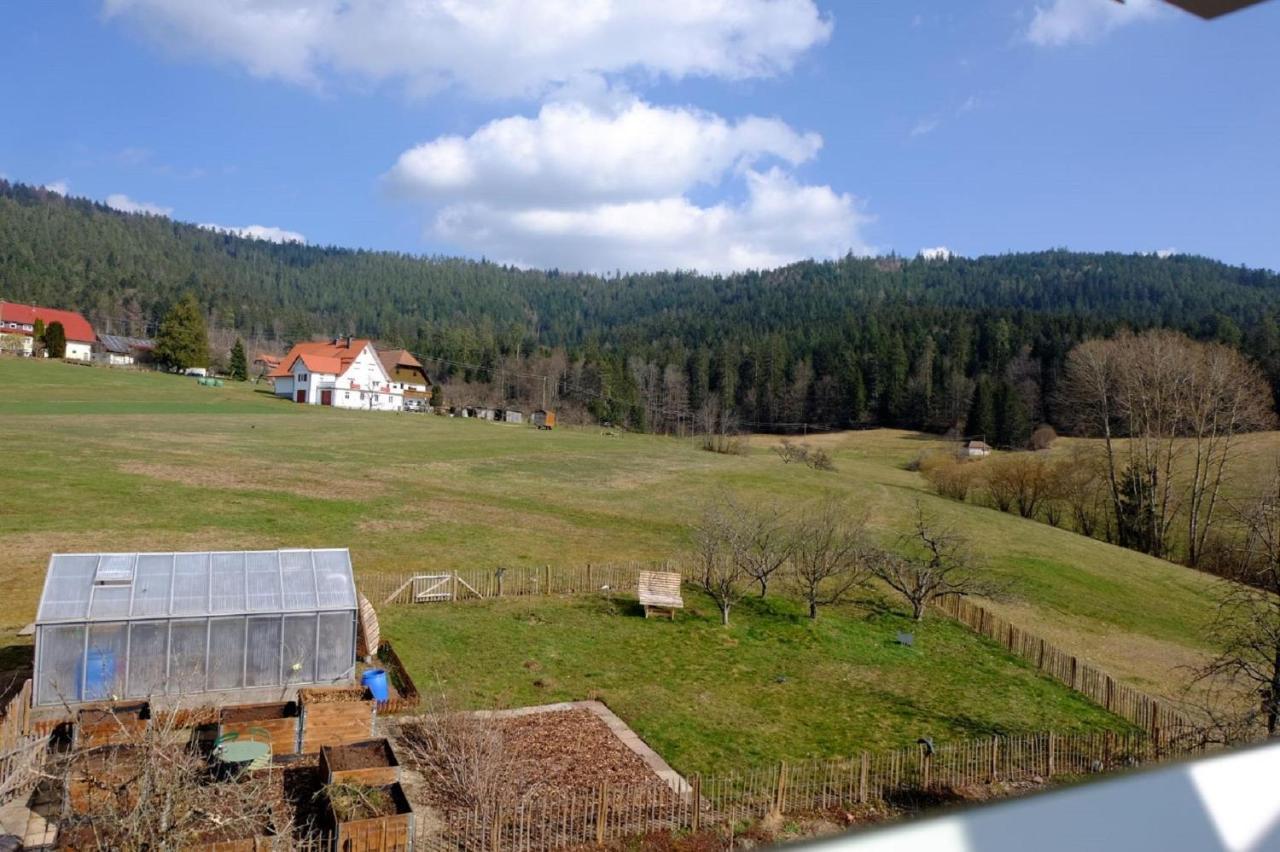 Schwarzwild - Ferienwohnung Und Ferienzimmer Баїрсбронн Екстер'єр фото