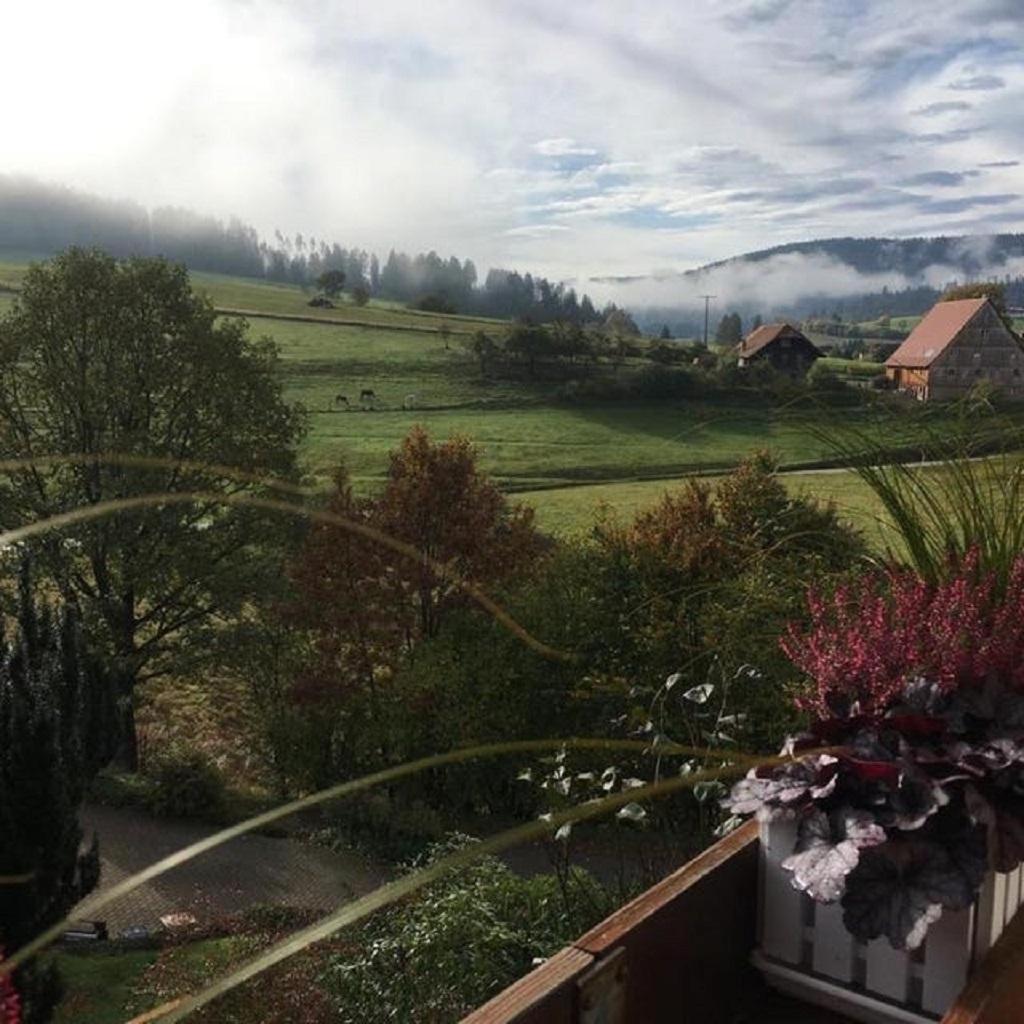 Schwarzwild - Ferienwohnung Und Ferienzimmer Баїрсбронн Екстер'єр фото
