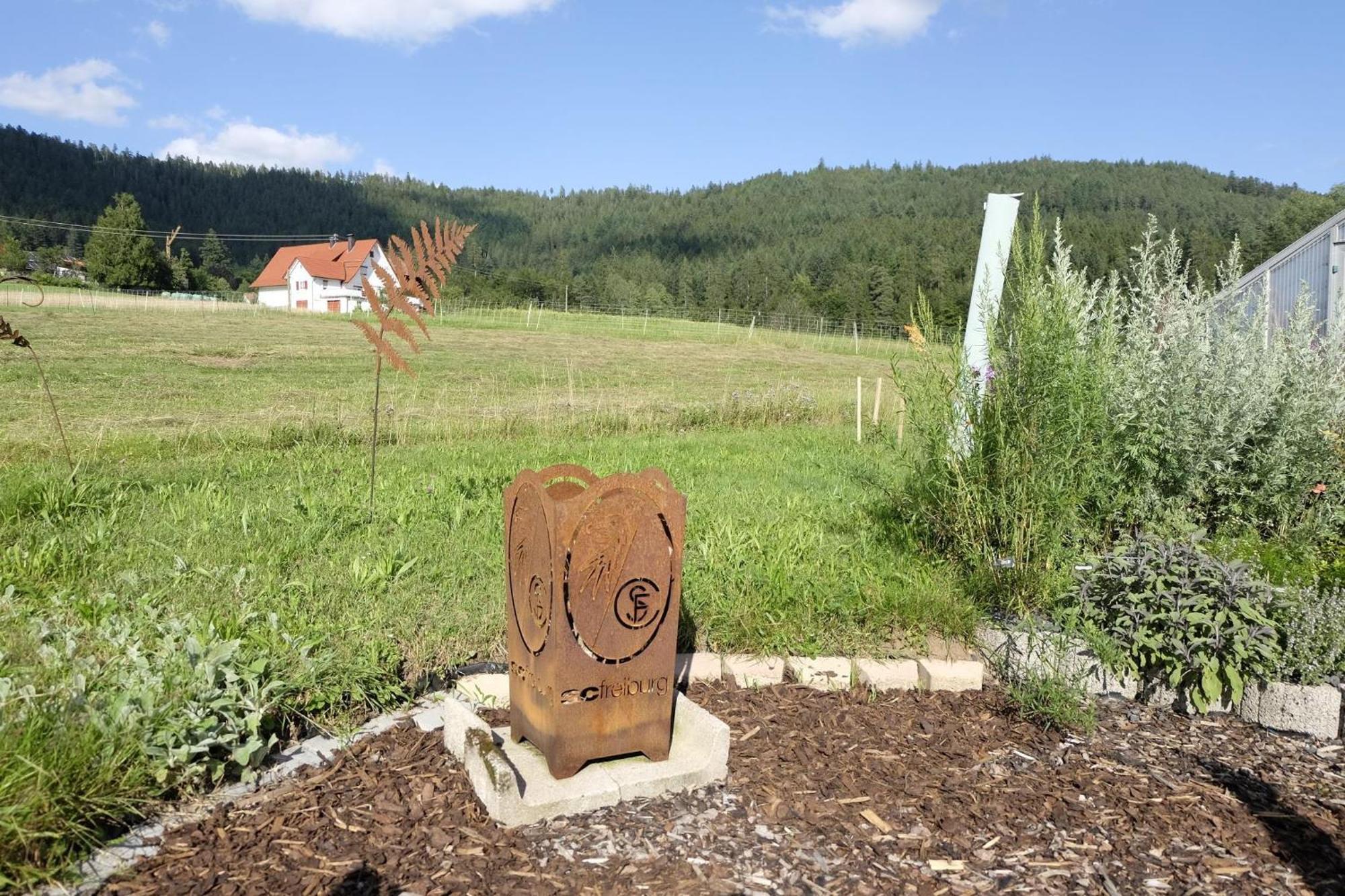 Schwarzwild - Ferienwohnung Und Ferienzimmer Баїрсбронн Екстер'єр фото