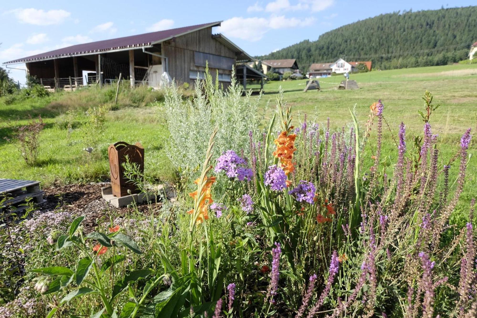 Schwarzwild - Ferienwohnung Und Ferienzimmer Баїрсбронн Екстер'єр фото