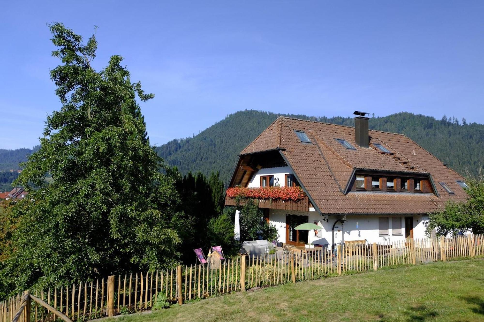 Schwarzwild - Ferienwohnung Und Ferienzimmer Баїрсбронн Екстер'єр фото